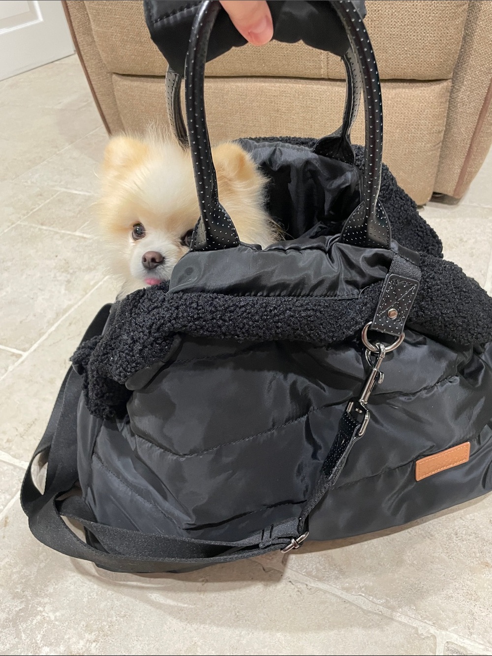 Hotel Doggy black Sherpa dog carrier tote bag